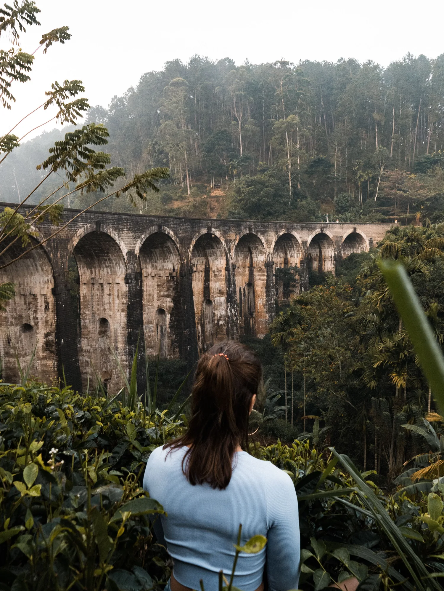 Sri Lanka hill-country train curving through green forest